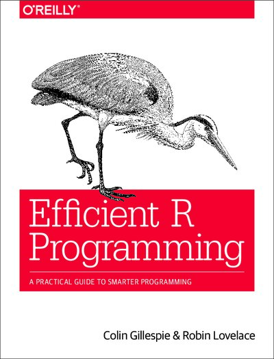 Efficient R Programming  A Practical Guide to Smarter Programming ( PDFDrive )