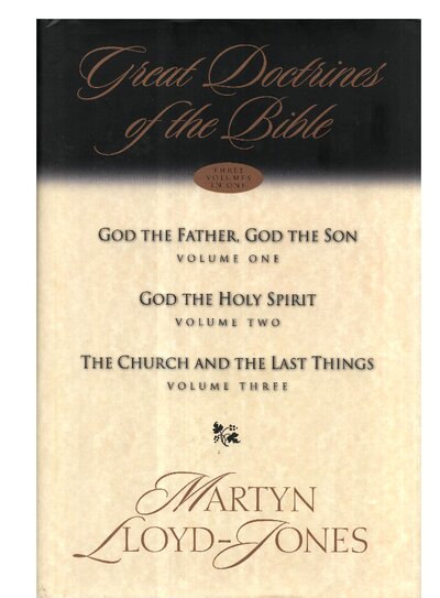 Great Doctrines of the Bible  God the Father, God the Son  God the Holy Spirit  The Church and the Last Things ( PDFDrive )