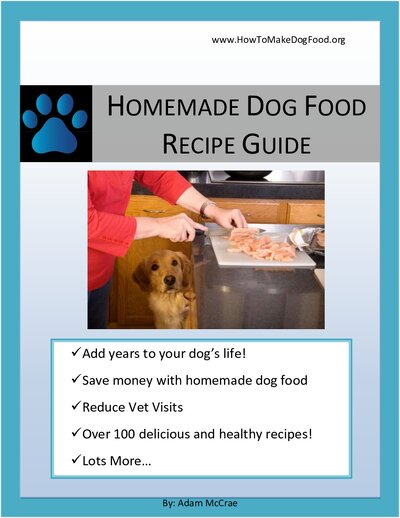 Homemade Dog Food Recipe Guide ( PDFDrive )