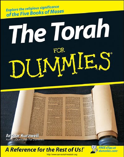 The Torah For Dummies ( PDFDrive )